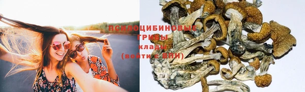 шишки Богородицк