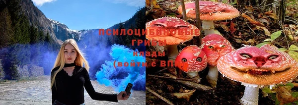 шишки Богородицк