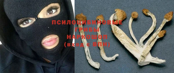 jwh Богородск