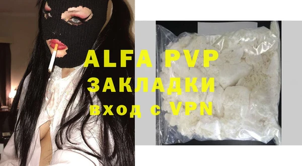 шишки Богородицк